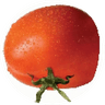 Walking Tomato 