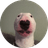WALTER