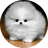 wang