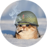 war kitty
