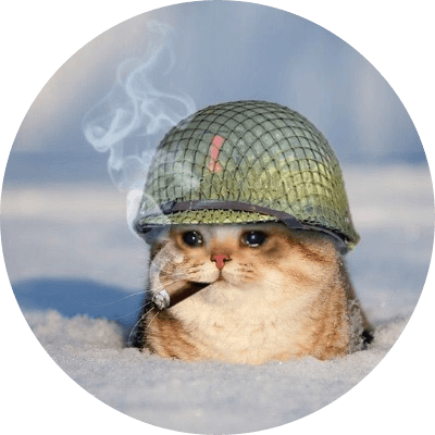 war kitty logo
