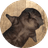 if