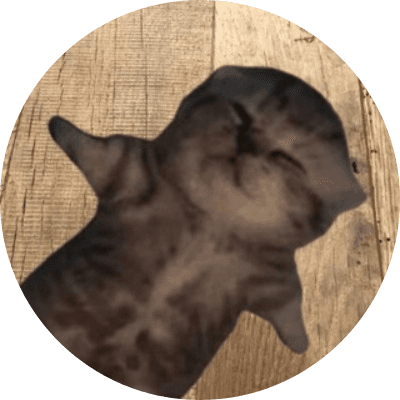 wat if logo