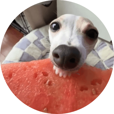 Watermelon Eating Dog logo