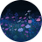 WEB4