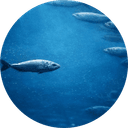 What if everyone is wrong...