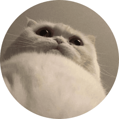 When She Sucks logo