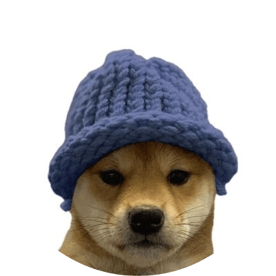WIF on ETH logo