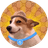Sui Dog Wif Hat