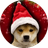 wifmas