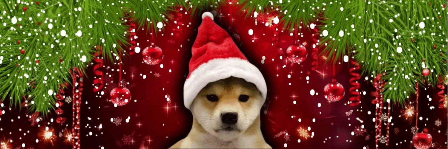 wifmas banner