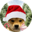 wifmas
