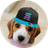 WINSTON