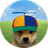 WOF