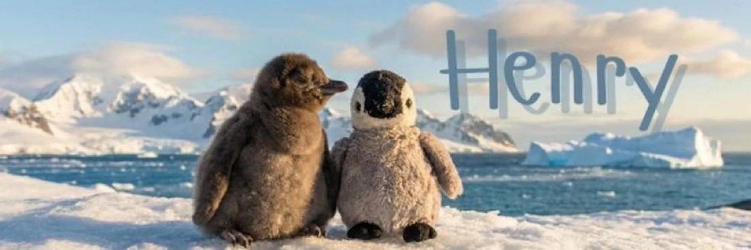 World's Tiniest Penguin banner