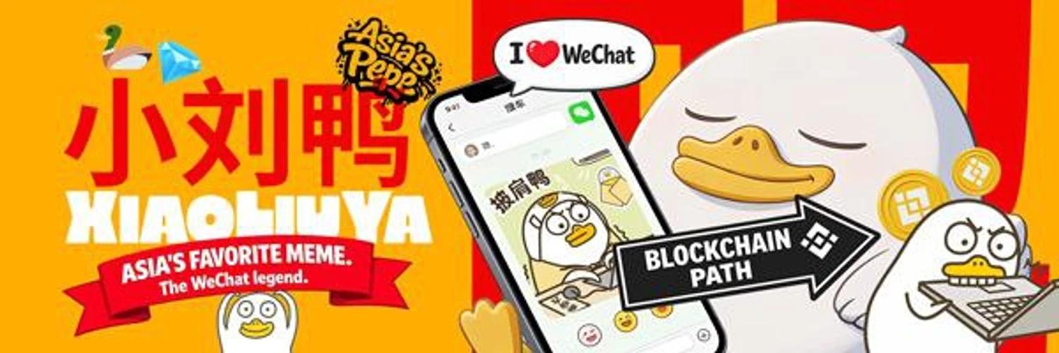小刘鸭 banner