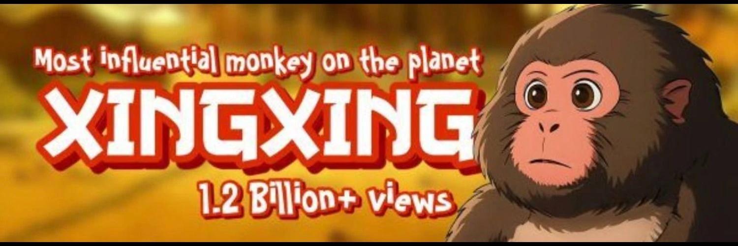 Xing Xing banner