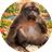 Xingxing