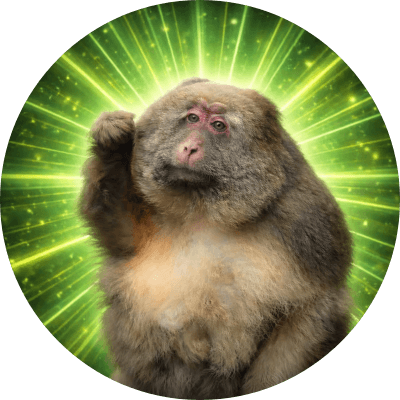 XingXing Monkey  logo