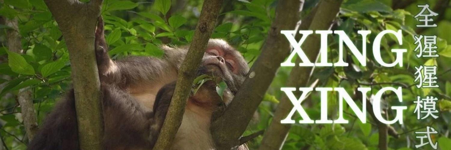 XingXing Monkey  banner