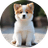 YASU