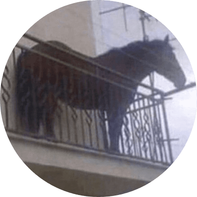 year of the horse logo