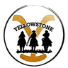 Yellowstone coin 