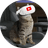 YouCat