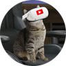 YOUTUBE CAT MASCOT