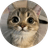 umi