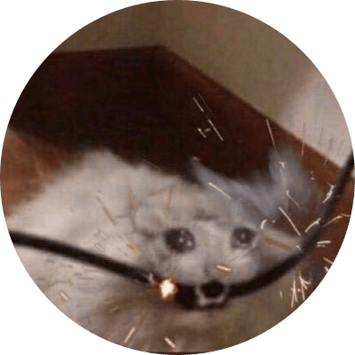 ZAPCAT logo