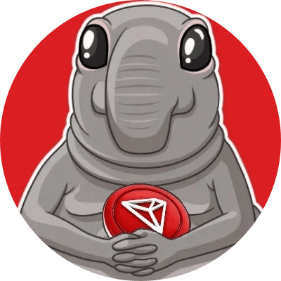 ZHDOON TO THE MOON logo