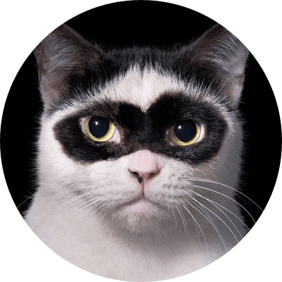 Zorro the Cat logo